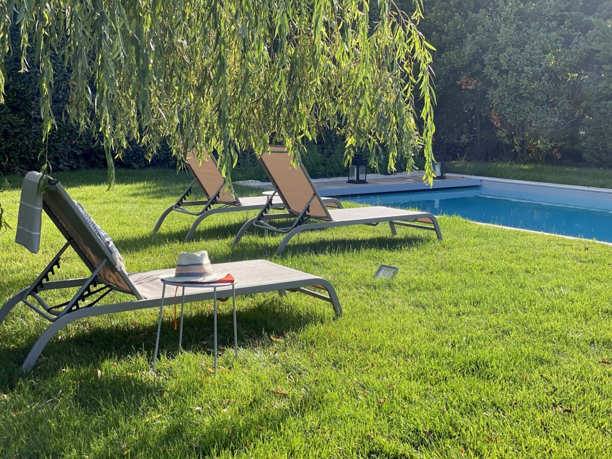 Lounge chairs under weeping willow tree