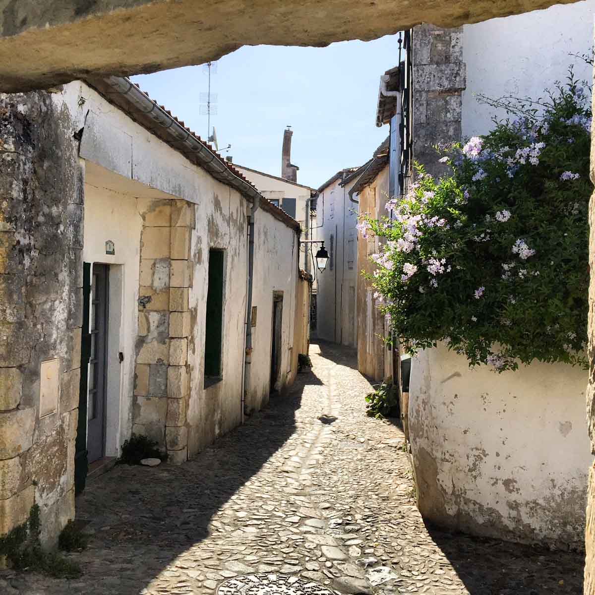 Small cobblestone street in Saint-Martin-De-Re